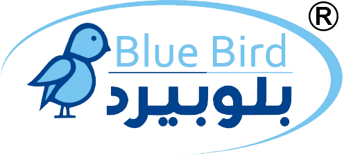 Blue Bird Toys